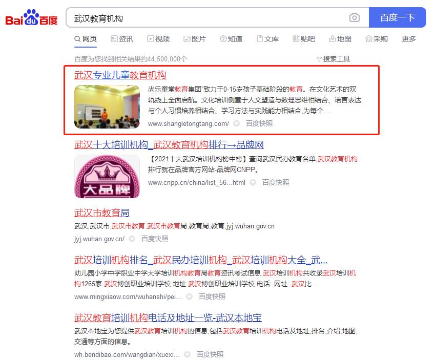 兒童教育、兒童托管機構優化案例網站建設案例—武漢盛世互聯